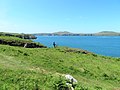 Artist at Porthstinian, Penmaen Dewi, Sir Benfro (Pembrokeshire), Cymru 05.jpg