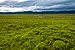 Tundra landscape looking south toward British Mountains near Engigstciak, Ivvavik National Park, YT.jpg