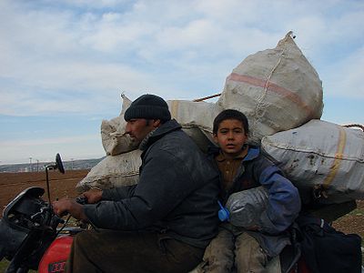 Working child near Batman, Kurdistan, Turkey.