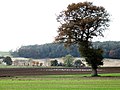 The road to Hareby, Old Bolingbroke - geograph.org.uk - 611766.jpg