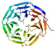 Protein WDR5 PDB 2cnx.png