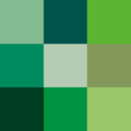 Shades of green.png