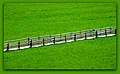 Fence - Flickr - Stiller Beobachter (1).jpg