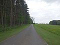 Track to Spring Wood - geograph.org.uk - 1283450.jpg