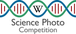 Logo for e-Science Photo Competition v2.svg