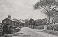 Withern, Lincolnshire, England, 1905.jpg